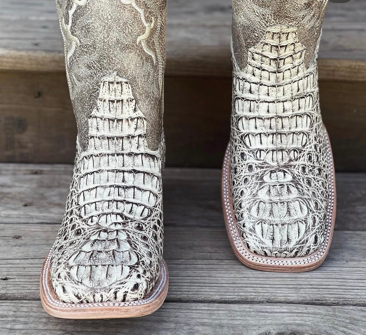 Winter Safari Caiman Neck