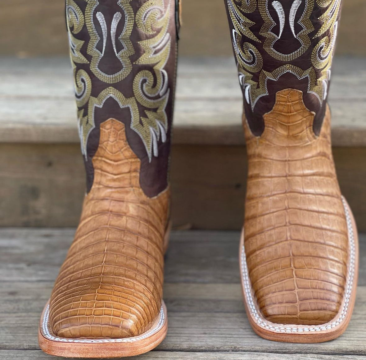 Antique Saddle Caiman Belly
