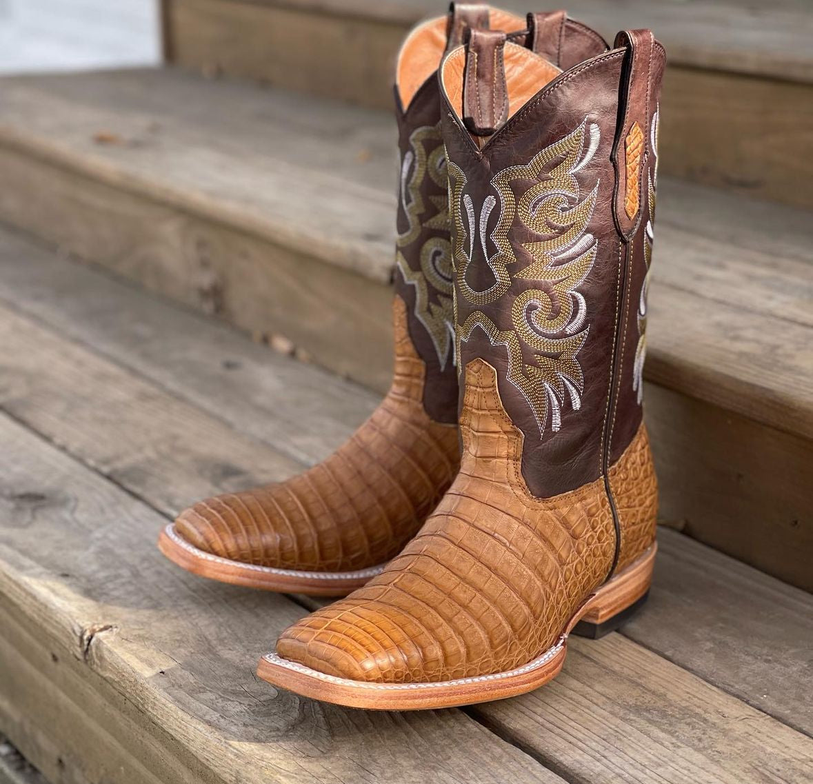 Antique Saddle Caiman Belly