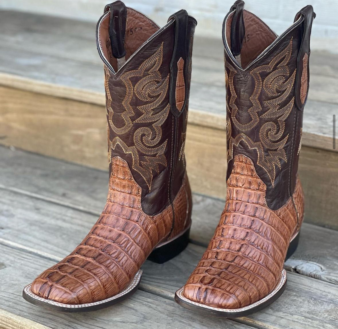 Cigar Waxy Caiman Tail