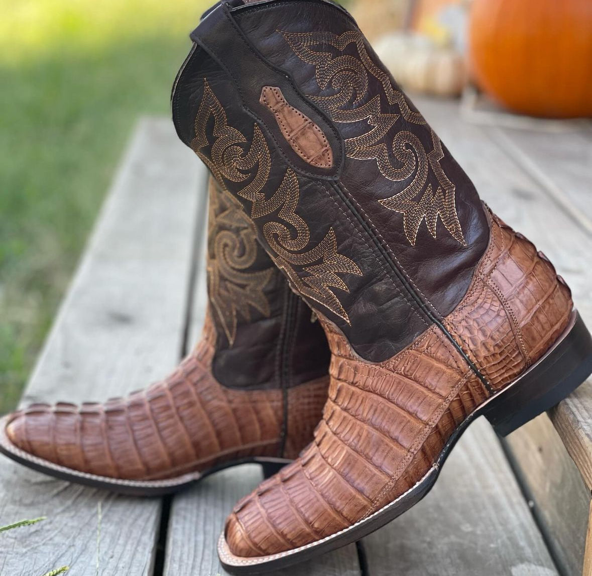 Cigar Waxy Caiman Tail