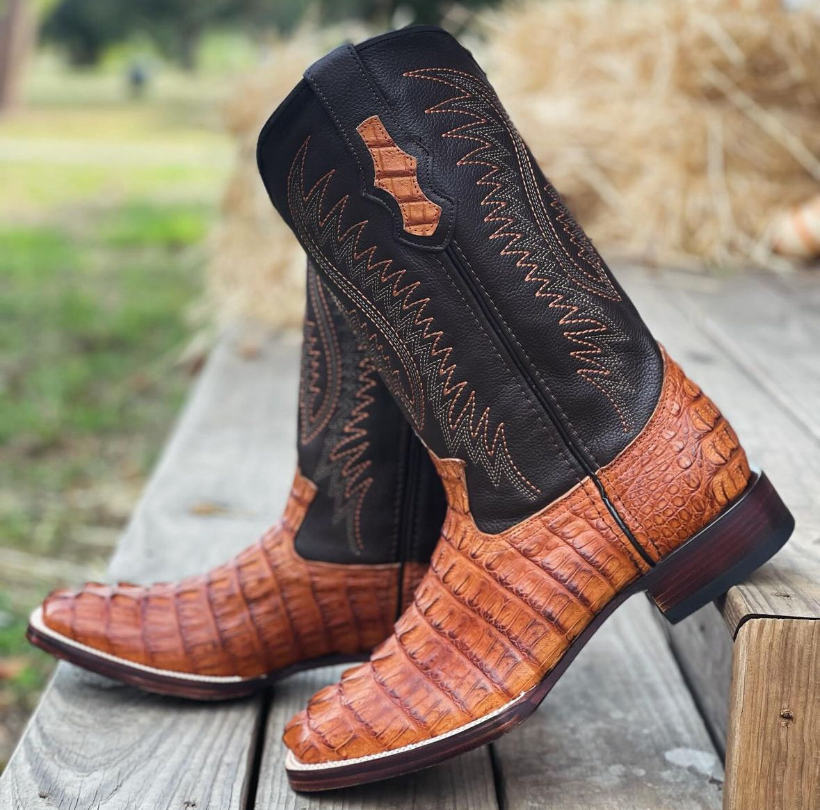 Brandy Caiman Boots