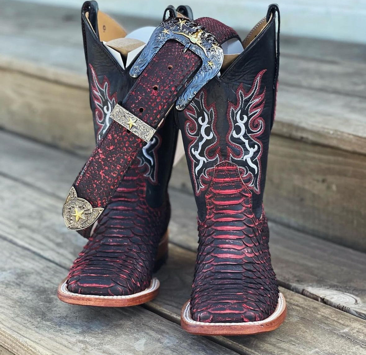 Black Cherry Python