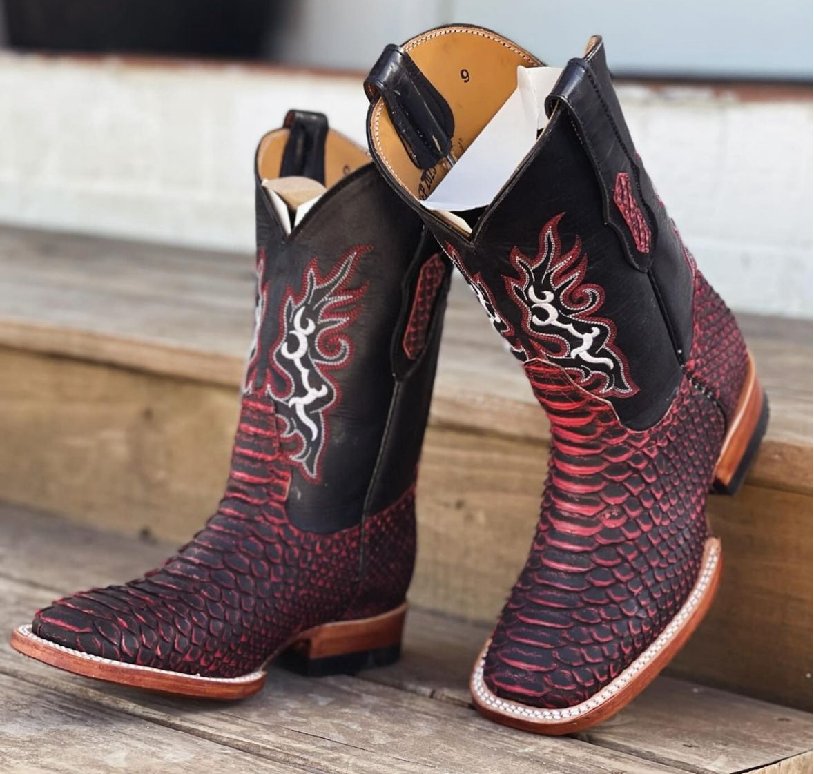 Black Cherry Python
