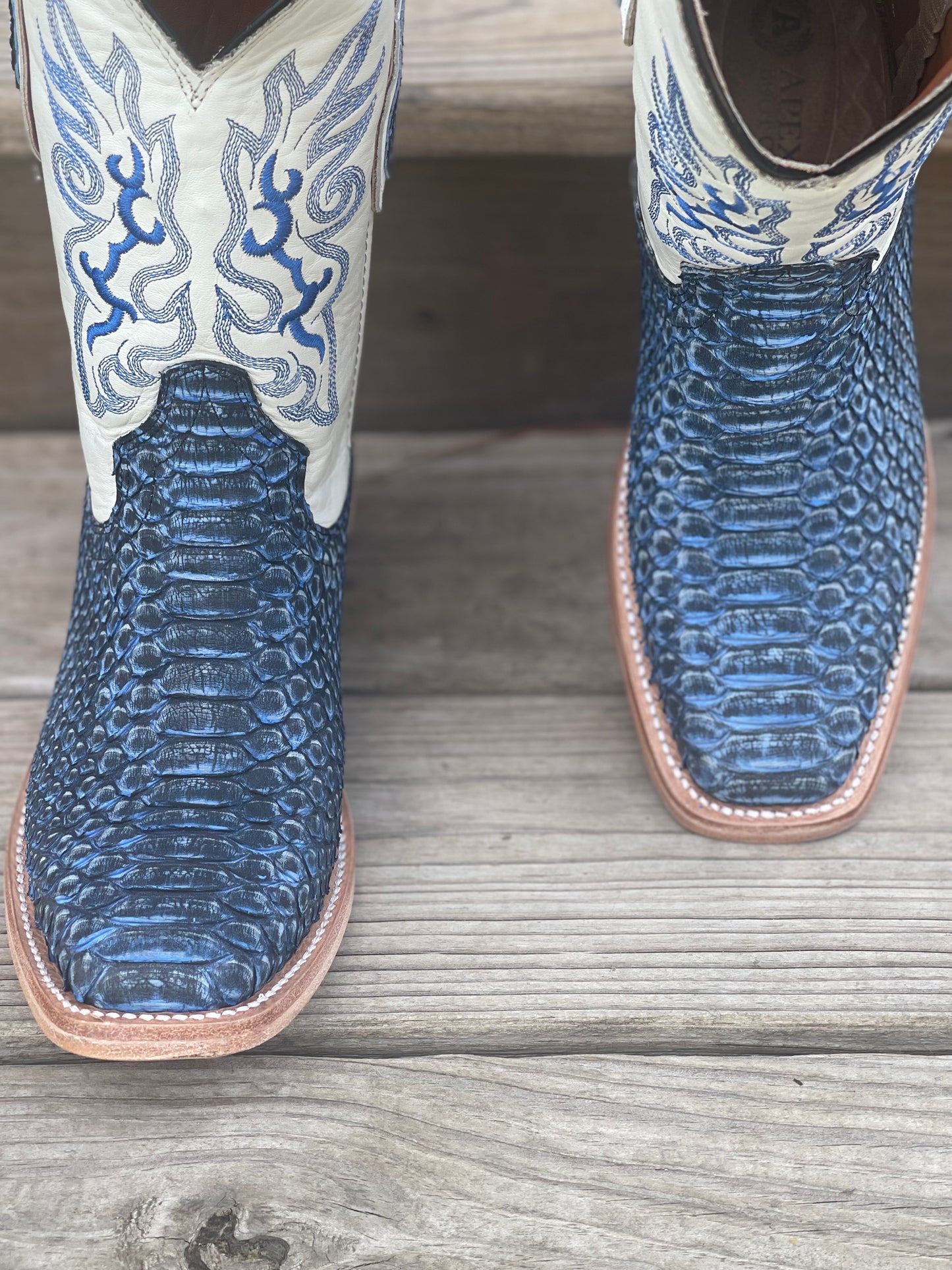 Electric Blue Python
