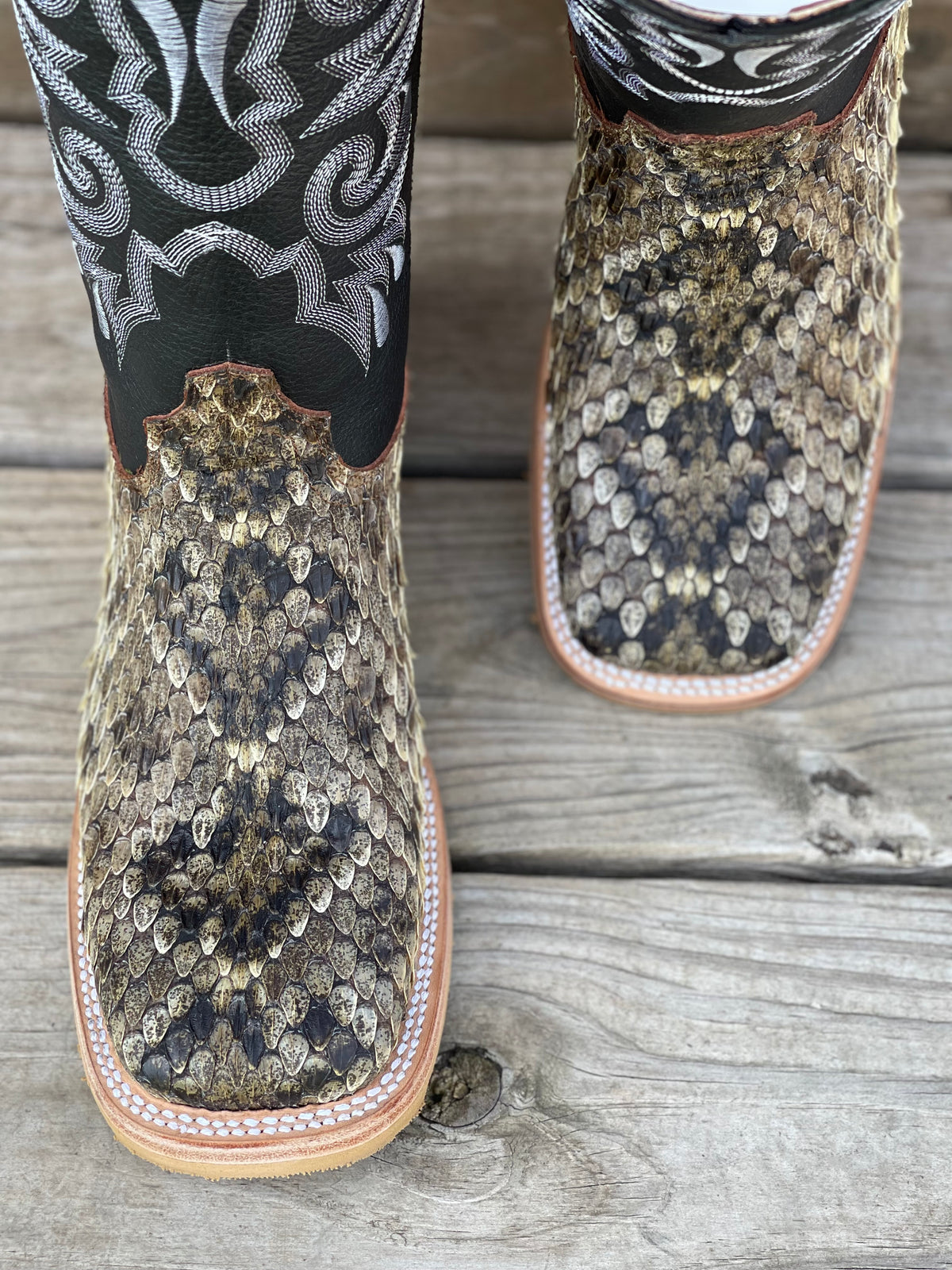 Western Diamondback Rattlesnake