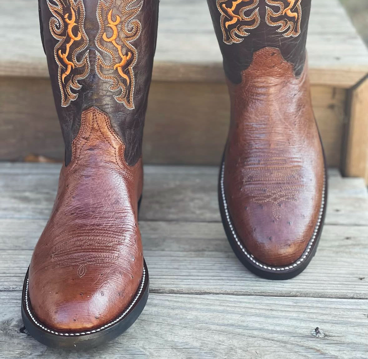 Ostrich Belly Ropers