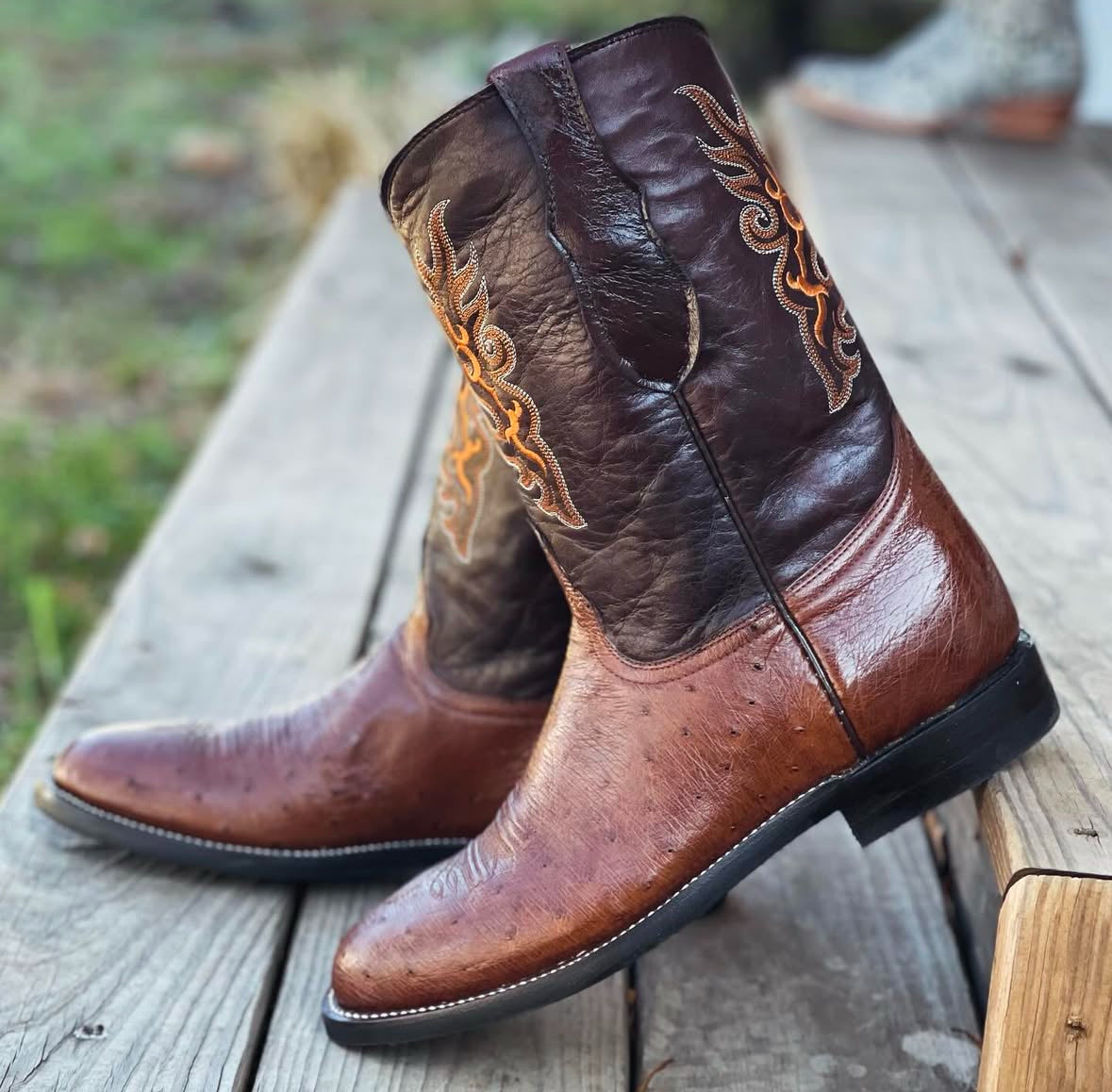 Ostrich Belly Ropers