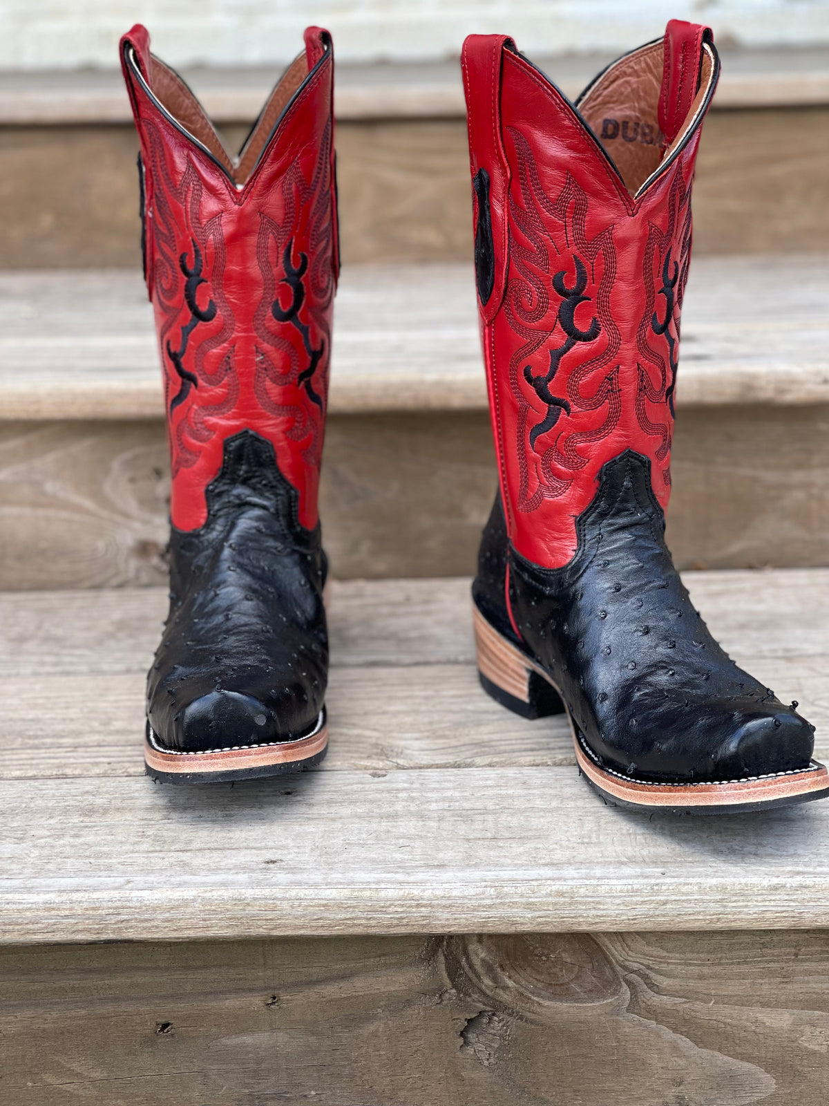 Dubai Black full quill Ostrich red tops
