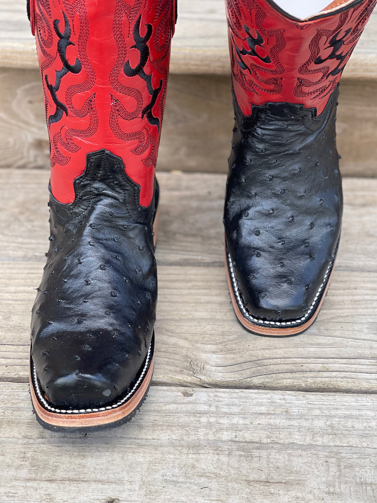 Dubai Black full quill Ostrich red tops
