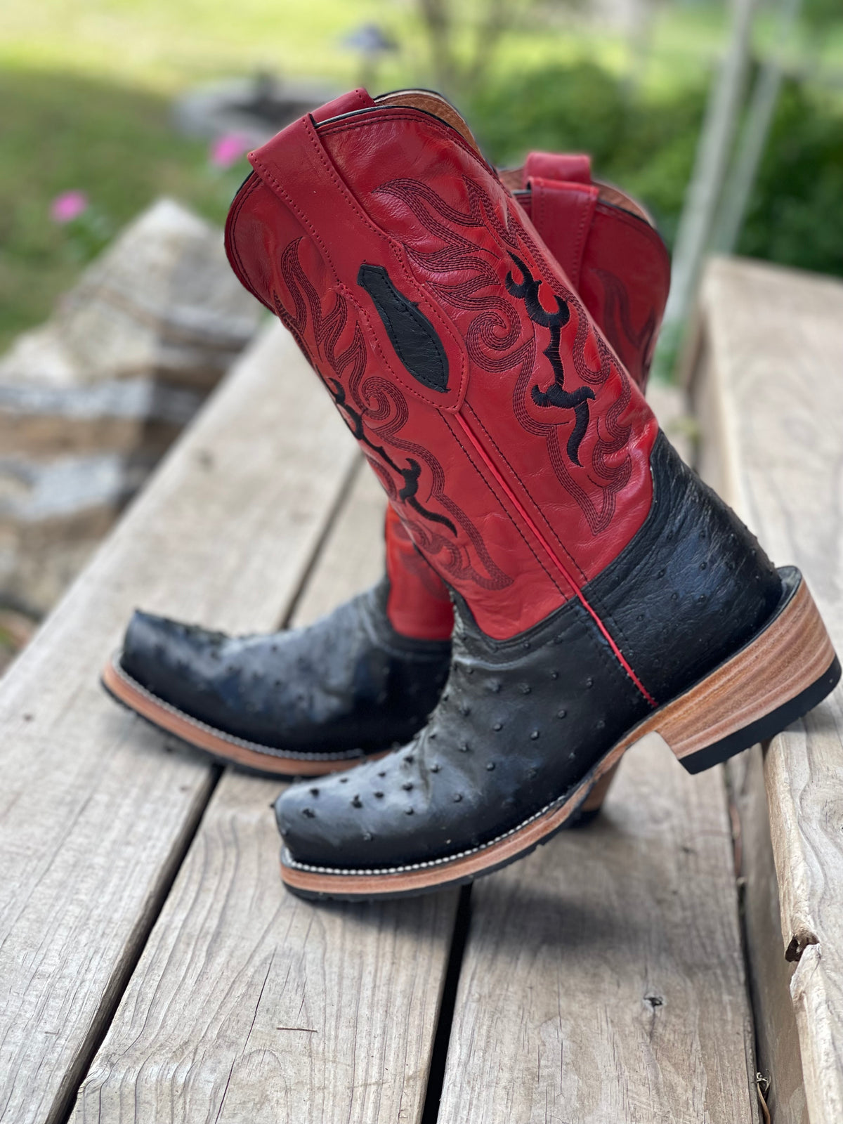 Dubai Black full quill Ostrich red tops